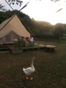 5m Belle Tent for 4 people