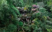 Top Munnar