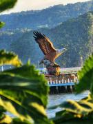Top Langkawi Islands
