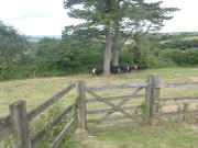 Top Moretonhampstead