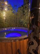 Gîte Roche Pointue - Ski - Domaine