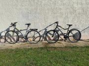 Ma petite studette Tahaa