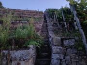 Top Kirchheim am Neckar