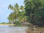 Top Dibulla