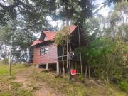 Cabaña sesquile del arbol