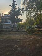 Top Áyios Spirídhon