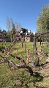 Terroir Village - Complejo en Mendoza