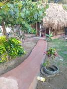 Top Paso Nuevo Top Paso Nuevo