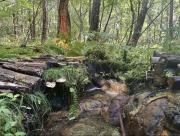 Rivertone North Karuizawa