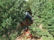 Top Pszczew Top Pszczew