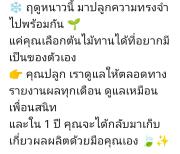Top Chom Thong