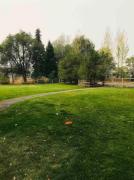 Top Missoula