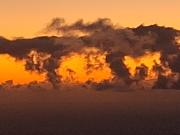 Top Raposeira do Logarinho