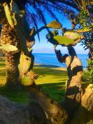 Top Augusta Top Augusta