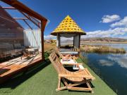 Top Puno