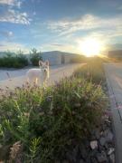 Top Jeziorki Top Jeziorki