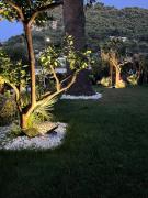 Top Vallecrosia