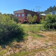 Top Tunquen Top Tunquen