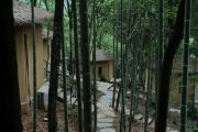 Top Jiezi Ancient Town