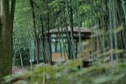 Top Jiezi Ancient Town