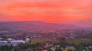 Top Bogor