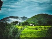 Top Suan Phung