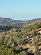 Top Ogliastro Cilento