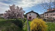 Top Grignasco