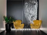 Top Locarno Top Locarno