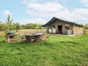 Pear Trees Pear Trees