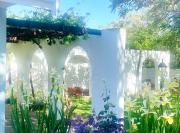 Bahlaloga Studio Durbanville