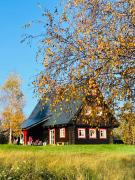 Top Nowy Waliszow