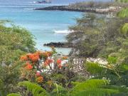 Suite Tierra, Reconnect with your roots