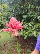 Good Time Resort Koh Kood Good Time Resort Koh Kood