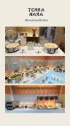 Terra Nara