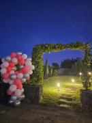 Beautiful Etnas view