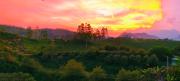 Top Munnar