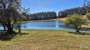 Top Dullstroom