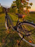 Top San Pietro in Cariano