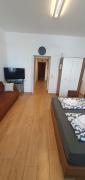 Lovely 1BR Apt in the Heart of Vienna