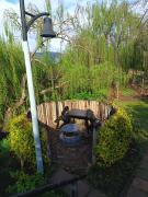 Glamping at The Well in Franschhoek