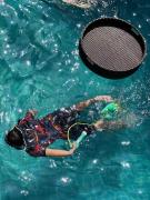 Monalisa Blue haven pool hotel