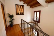 Natural Loft 14 -jvapartmentrovigo