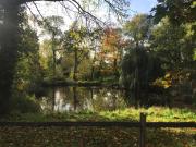Aan de Jordaan Aan de Jordaan