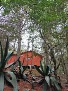 Top San Jose del Pacifico