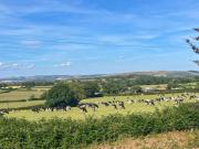 Top Sturminster Newton