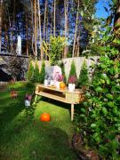 Top Raków Top Raków