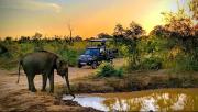 Gajaa Safari Homestay