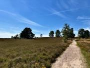 Top Buchholz in der Nordheide