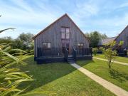 Ivy - Uk50105 Ivy - Uk50105